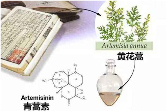 玩球,玩球(中国)：向中医药看齐，与世界共享中医药文化(图1)